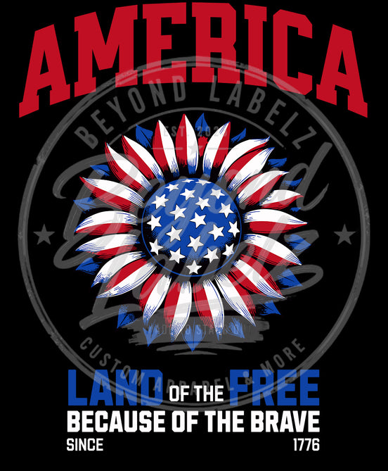 America Land of the Free